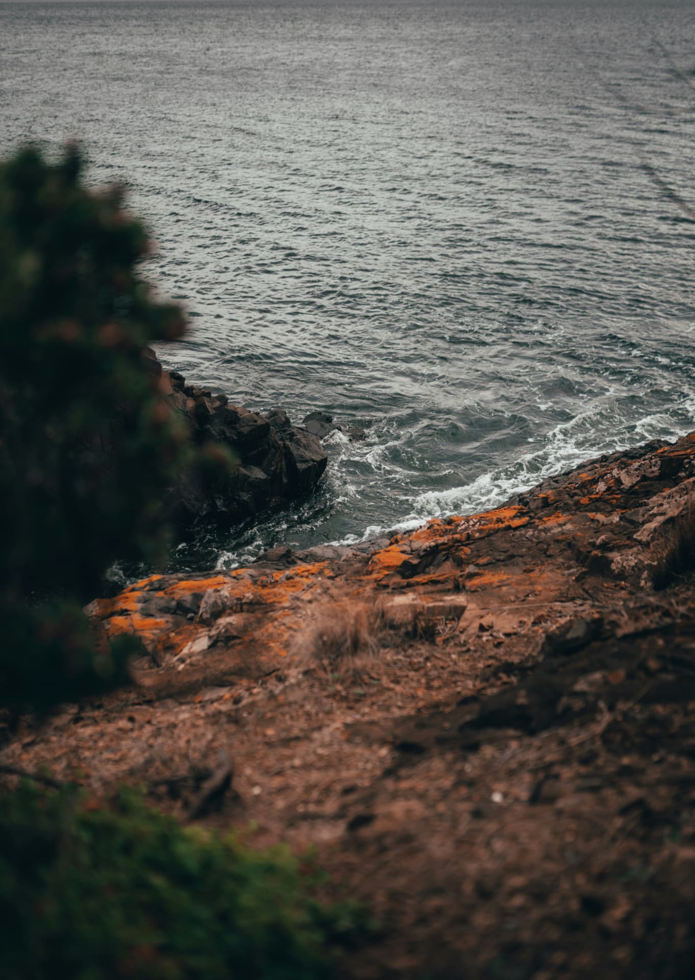 Lichen-covered East Coast headland above a grey Tasmanian sea